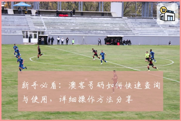 新手必看:澳客号码如何快速查询与使用,详细操作方法分享