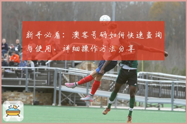 新手必看:澳客号码如何快速查询与使用,详细操作方法分享